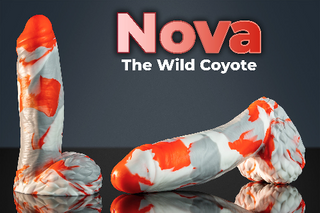 Nova - Naughty Fox