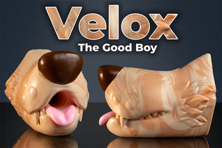 Velox the Good Boy