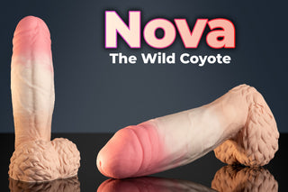 Nova the Wild Coyote - Naughty Fox