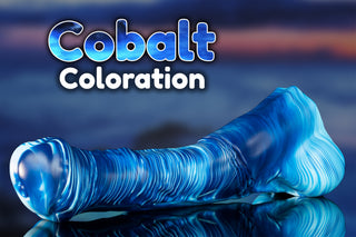 Santos the Dressage Horse