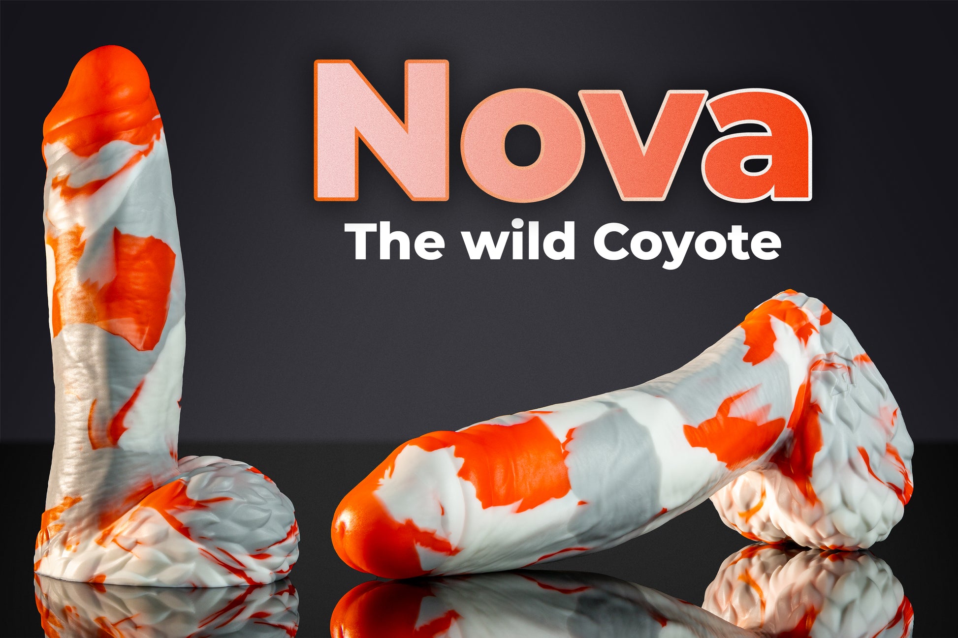 nova the coyote product image with product name